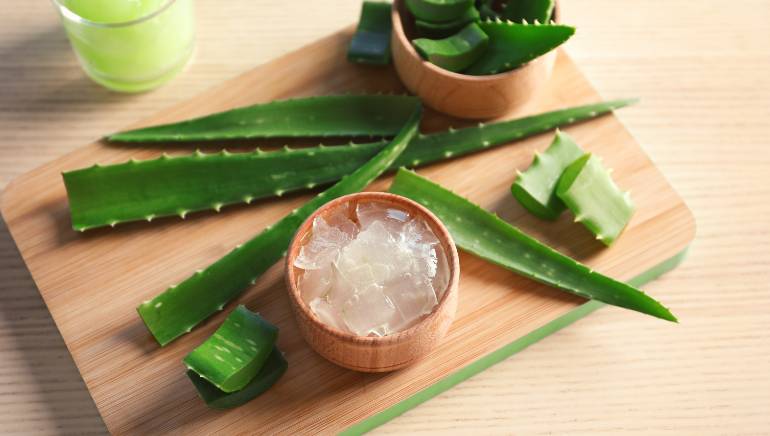 aloe vera uses